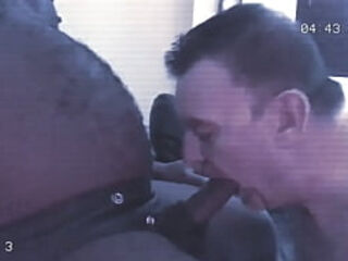 The Return of the Titpigs: On Camera Surveillance.