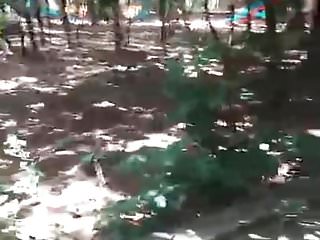 Walkaroundg around a catch woodland